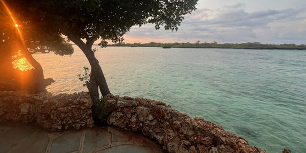 Kenia | Prive safari reizen | Safari en Strand | Reiservaring reiziger - juli 2024 | OnsKenia Kenia | Prive safari reizen | Safari en Strand | Reiservaring reiziger - juli 2024 | OnsKenia