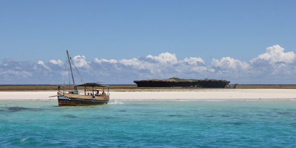 Kenia | Prive safari reizen | Safari en Strand | Andreia en Rob prive safari rondreis met strandvakantie in Kenia - juli 2021 | OnsKenia Kenia | Prive safari reizen | Safari en Strand | Andreia en Rob prive safari rondreis met strandvakantie in Kenia - juli 2021 | OnsKenia