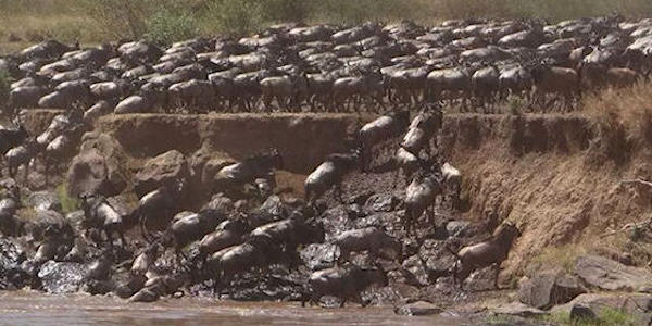 Kenia | Oeganda | Combinatie reizen | Prive safari reizen | Reiservaring reiziger - september 2014 | OnsKenia Kenia | Oeganda | Combinatie reizen | Prive safari reizen | Reiservaring reiziger - september 2014 | OnsKenia