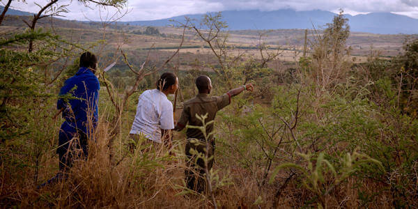 Acacia Farm Lodge  naturewalk excursie, Ngorongoro Krater in Tanzania