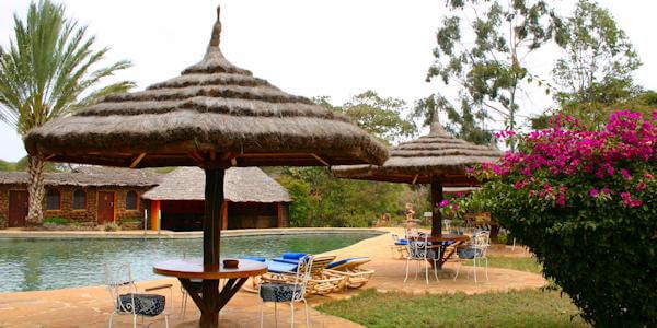 Het zwembad met handdoek service van Amboseli Sopa Lodge omgeven met een terras met ligbedden en parasols. Het zwembad met handdoek service van Amboseli Sopa Lodge omgeven met een terras met ligbedden en parasols.