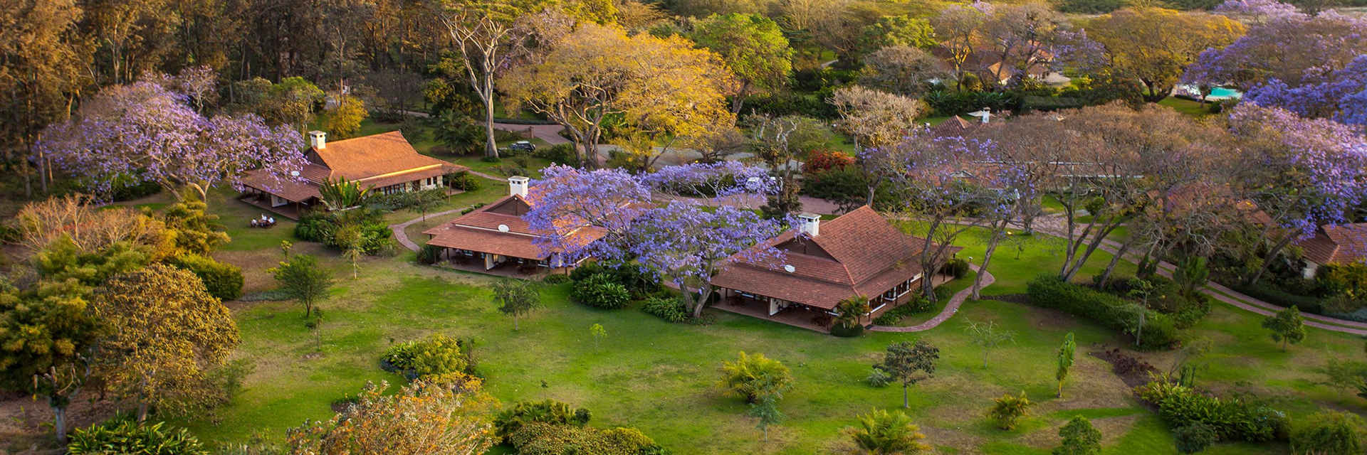 Arusha accommodaties van rustieke lodges tot luxe hotels Arusha accommodaties van rustieke lodges tot luxe hotels