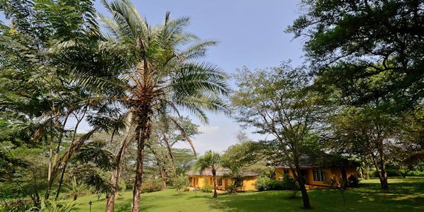 Chalets uitzicht Chalets uitzicht