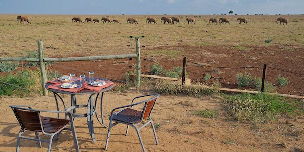 Ashnil Aruba Lodge grote groep olifanten passeren de lodge op weg naar de drinkwaterplaats. Tsavo Oost Nationaal Park in Kenia