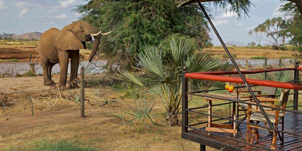 Ashnil Samburu Camp klik voor verdere informatie! 