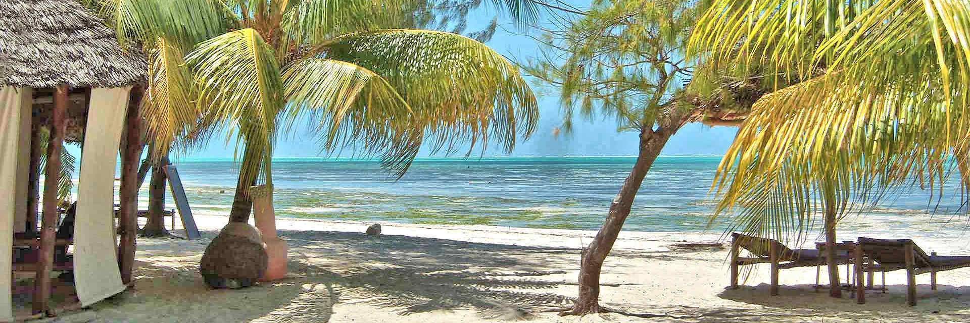 Bahari View Lodge direct aan het koraalwitte zandstrand van Jambiani Beach op Zanzibar Bahari View Lodge direct aan het koraalwitte zandstrand van Jambiani Beach op Zanzibar