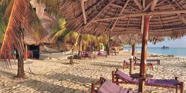 Bahari View Lodge klik voor verdere informatie! Bahari View Lodge klik voor verdere informatie!