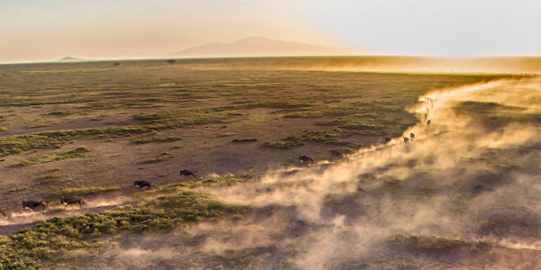 Prive safari reizen door Rondreis Tanzania
