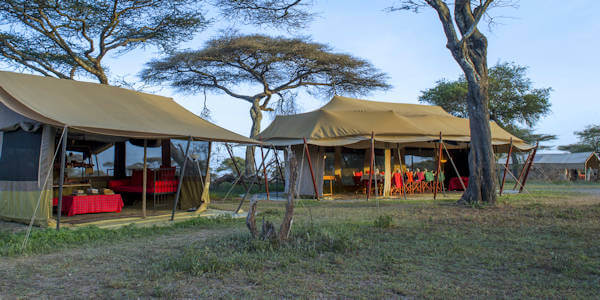 Camp Zebra klik voor verdere informatie! Camp Zebra klik voor verdere informatie!