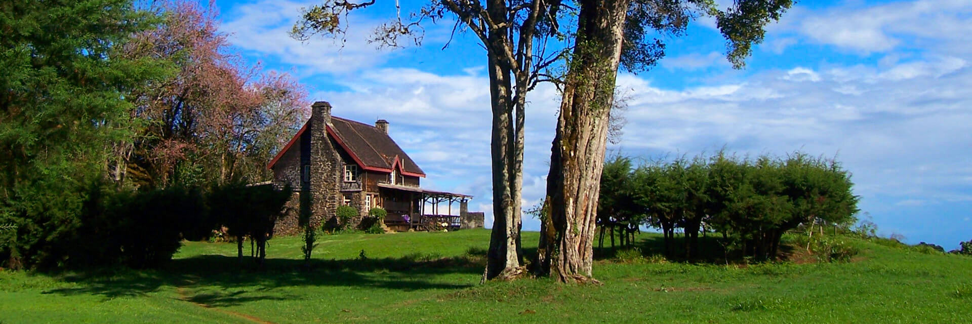 Castle Forest Lodge op de hellingen van de Mount Kenya Castle Forest Lodge op de hellingen van de Mount Kenya