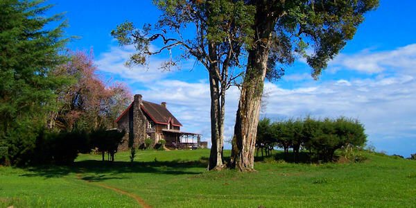 Castle Forest Lodge klik voor verdere informatie! Castle Forest Lodge klik voor verdere informatie!