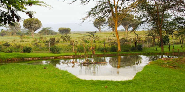 Serene rust, geniet van het ontbijt op het buitenterras met uitzicht op het Mau escarpment, accommodatie Naivasha Meer in Kenia