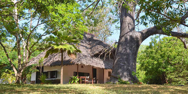 Diani House seahorse cottage, Diani Beach in Kenia