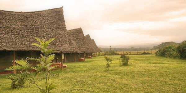 Egret Savannah Camp klik voor verdere informatie! Egret Savannah Camp klik voor verdere informatie!