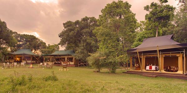 Elephant Pepper Camp klik voor verdere informatie! Elephant Pepper Camp klik voor verdere informatie!