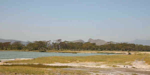 Soysambu reservaat, Elmenteita Meer in Kenia Soysambu reservaat, Elmenteita Meer in Kenia