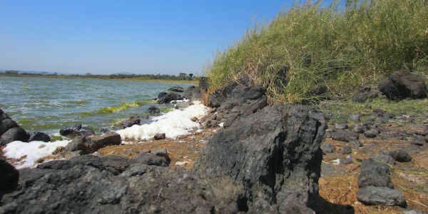 Vulkanisch gesteente, Elmenteita Meer in Kenia Vulkanisch gesteente, Elmenteita Meer in Kenia