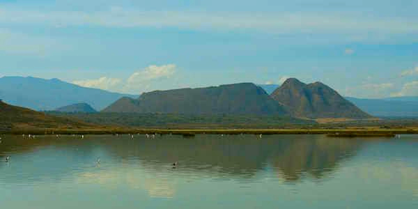 Elmenteita meer & Soysambu informatie en accommodaties Elmenteita meer & Soysambu informatie en accommodaties