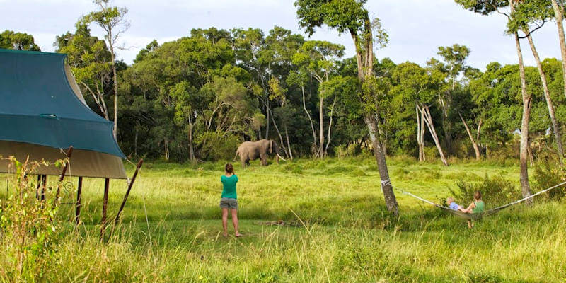 Ontdek de ongerepte bush op een familie safari rondreis . Ontdek de ongerepte bush op een familie safari rondreis .