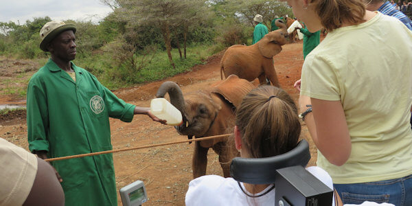 Voor reizigers afhankelijk van een rolstoel verzorgen wij safari reizen op maat door Kenia en Tanzania. 