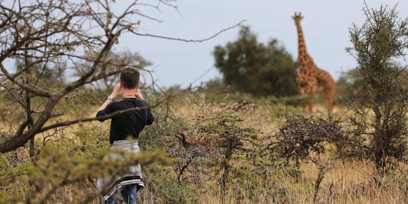 Indrukwekkende safari voor het gehele gezin in de ongerepte natuur in Kenia. Indrukwekkende safari voor het gehele gezin in de ongerepte natuur in Kenia.