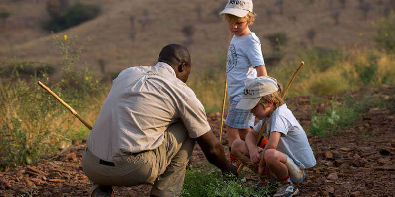 Naast een avontuurlijke safari door Tanzania samen met een gids de flora en fauna verkennen. Naast een avontuurlijke safari door Tanzania samen met een gids de flora en fauna verkennen.