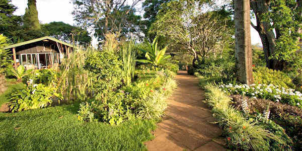 Gibb's Farm rustieke cottages, Ngorongoro Krater in Tanzania Gibb's Farm rustieke cottages, Ngorongoro Krater in Tanzania