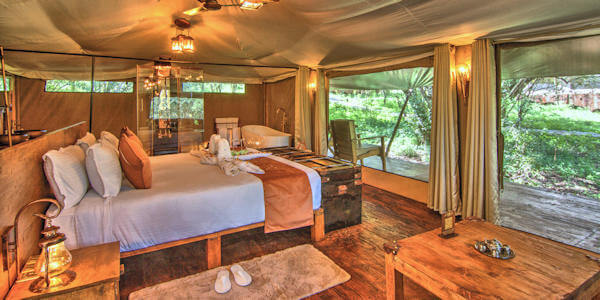 Ilora Reteats interieur standaard, Masai Mara in Kenia Ilora Reteats interieur standaard, Masai Mara in Kenia