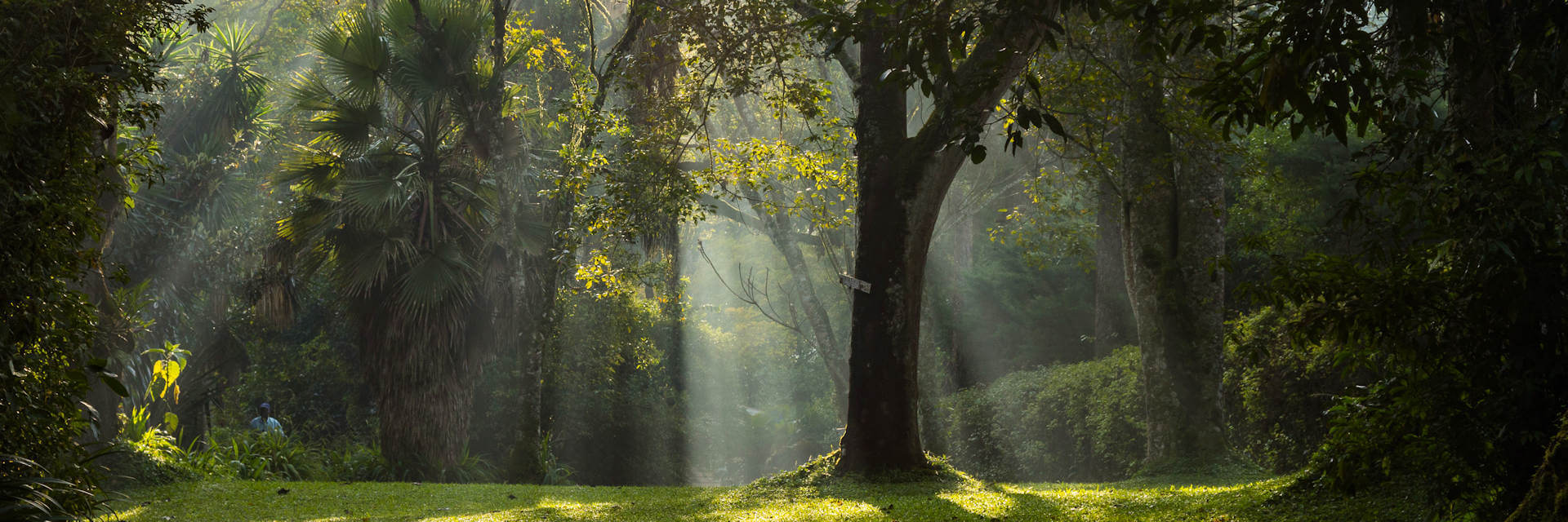 Accommodaties Kakamega Forest - Kenia Accommodaties Kakamega Forest - Kenia