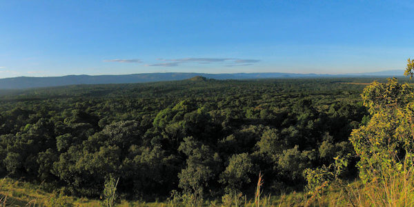 Kakamega Forest informatie en accommodaties Kakamega Forest informatie en accommodaties