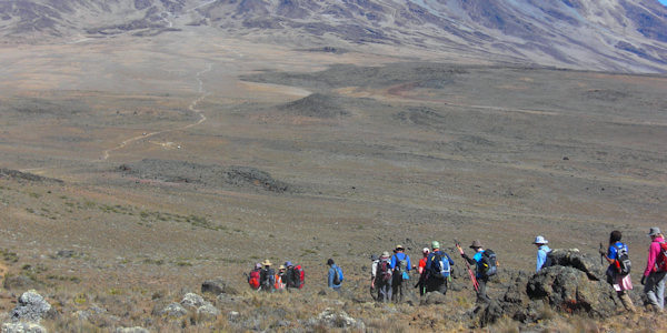 Kambi ya Tembo accommodatie kilimanjaro shira plateau, Kilimanjaro Nationaal Park in Tanzania