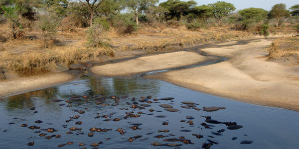 Opdrogende nijlpaardenpoel, Katavi Nationaal Park in Tanzania Opdrogende nijlpaardenpoel, Katavi Nationaal Park in Tanzania