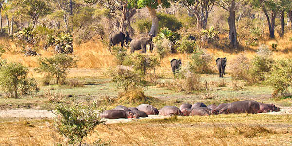 Katavi Nationaal Park overzicht hotels, lodges en tented camps Katavi Nationaal Park overzicht hotels, lodges en tented camps