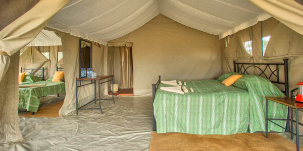 Kati Kati Tented Camp accommodatie interieur familietent, Serengeti Nationaal Park in Tanzania Kati Kati Tented Camp accommodatie interieur familietent, Serengeti Nationaal Park in Tanzania
