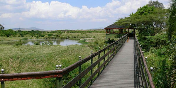 Keekorok Lodge hippo pool bar, Masai Mara in Kenia