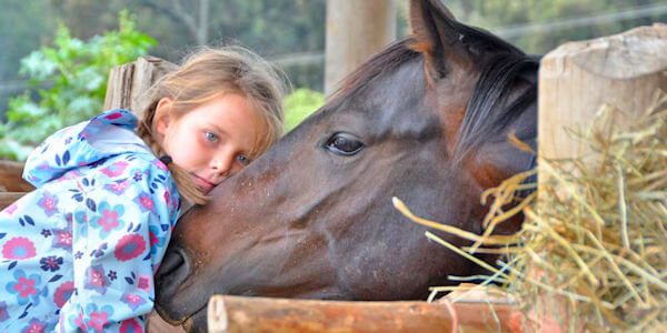 Kembu Cottages kent een grote tuin waar kinderen tijdens de vakantie in Kenia kunnen spelen. Kembu Cottages kent een grote tuin waar kinderen tijdens de vakantie in Kenia kunnen spelen.