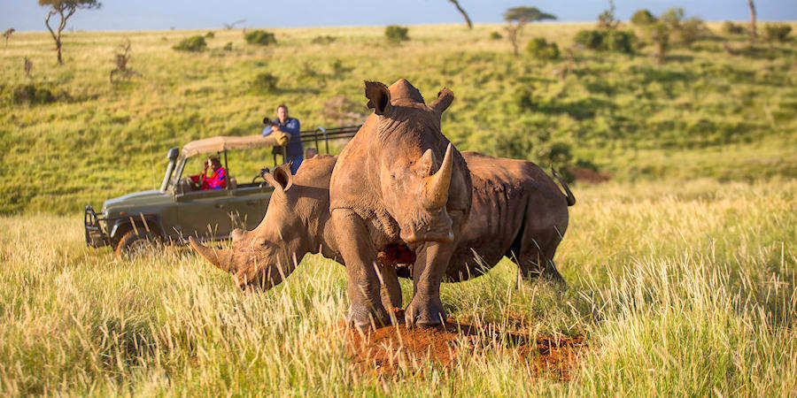 Kenia informatie overzicht parken, hotels en lodges, beste reisperiode Kenia informatie overzicht parken, hotels en lodges, beste reisperiode