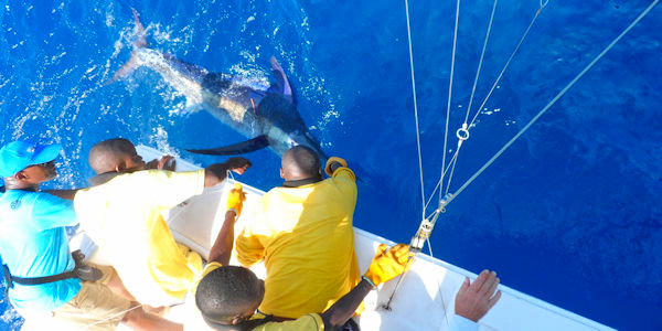 Voor de sportieve visser is de Indische oceaan een ideale dagtrip voor de kust van Kenia Voor de sportieve visser is de Indische oceaan een ideale dagtrip voor de kust van Kenia