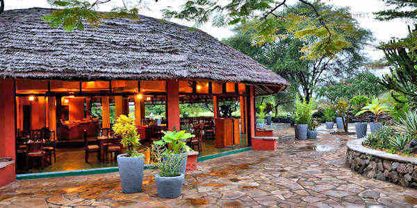 Kia Lodge restaurant en terras, Kilimanjaro Nationaal Park in Tanzania Kia Lodge restaurant en terras, Kilimanjaro Nationaal Park in Tanzania