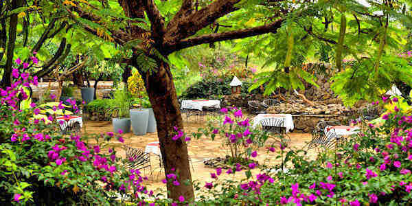 Kia Lodge accommodatie lunch terras, Kilimanjaro Nationaal Park in Tanzania Kia Lodge accommodatie lunch terras, Kilimanjaro Nationaal Park in Tanzania