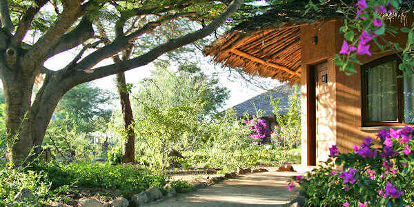 Kia Lodge omgeven door een inheemse tuin, Kilimanjaro Nationaal Park in Tanzania Kia Lodge omgeven door een inheemse tuin, Kilimanjaro Nationaal Park in Tanzania