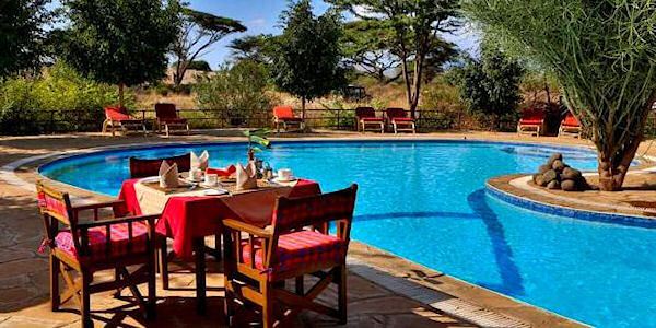 Het zwembad van het Kibo Camp omringd met een zonneterras, ligbedden en parasols. Het zwembad van het Kibo Camp omringd met een zonneterras, ligbedden en parasols, accommodatie Amboseli Nationaal Park in Kenia