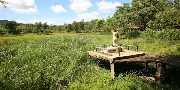 Kiboko Lodge accommodatie moeras kampvuur, Arusha Nationaal Park in Tanzania