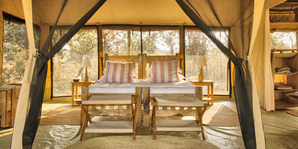 Kigelia Ruaha Camp klik voor verdere informatie! Kigelia Ruaha Camp klik voor verdere informatie!