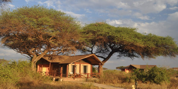 De standaard accommodaties van Kilima Safari Camp zijn omgeven door de inheemse bomen van het Amboseli NP. De standaard accommodaties van Kilima Safari Camp zijn omgeven door de inheemse bomen van het Amboseli NP.