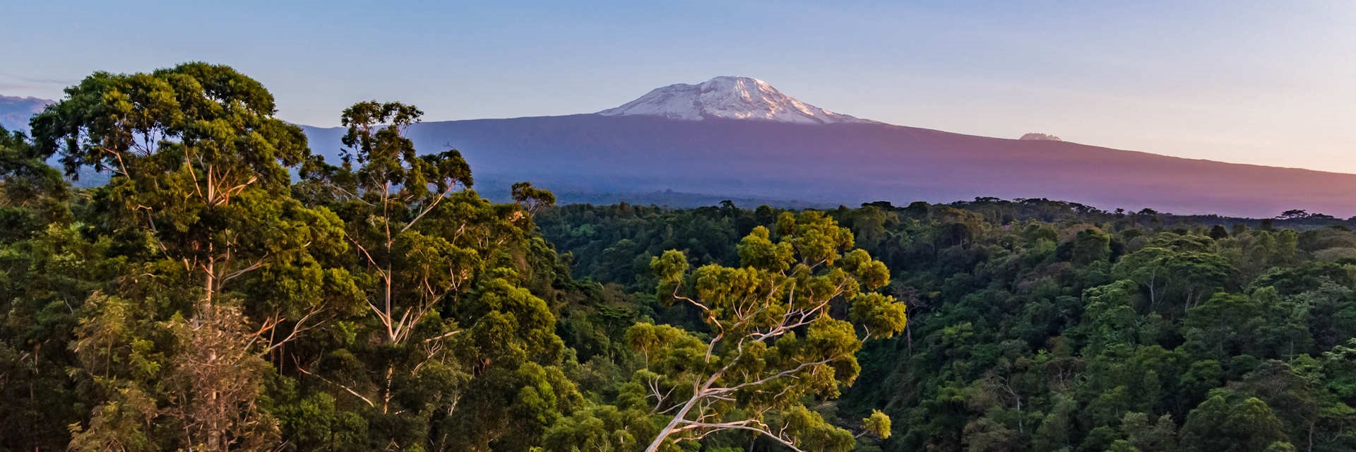 Mount Kilimanjaro Nationaal Park met op de achtergrond de besneeuwde top van de hoogste berg van Afrika. Mount Kilimanjaro Nationaal Park met op de achtergrond de besneeuwde top van de hoogste berg van Afrika.