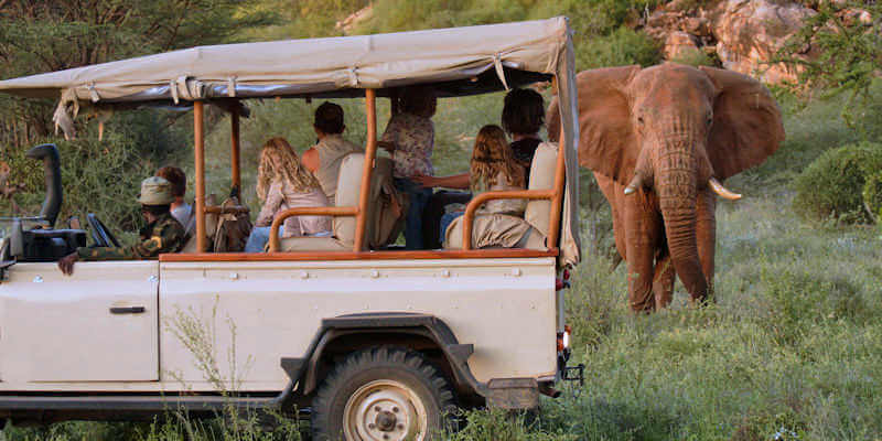 Unieke beleving en ervaringen staan garant op een safari rondreis samen met uw kinderen. Unieke beleving en ervaringen staan garant op een safari rondreis samen met uw kinderen.