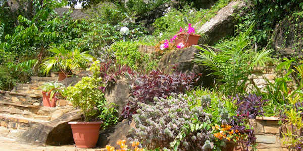 Kutazama Lodge accommodatie kleurrijke inheemse tuin, Shimba Hills Nationaal Park in Kenia