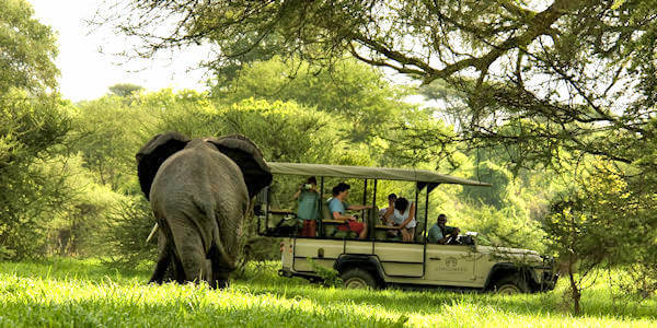 Laba Jongomero Camp kampvoertuig jongmero camp, Ruaha Nationaal Park in Tanzania Laba Jongomero Camp kampvoertuig jongmero camp, Ruaha Nationaal Park in Tanzania
