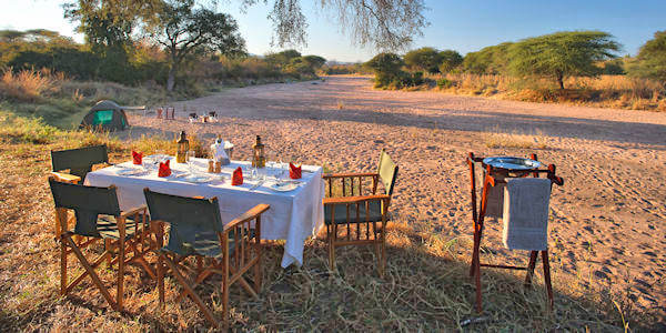 Laba Jongomero Camp accommodatie flycamp jongomero camp, Ruaha Nationaal Park in Tanzania Laba Jongomero Camp accommodatie flycamp jongomero camp, Ruaha Nationaal Park in Tanzania
